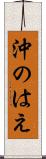 沖のはえ Scroll