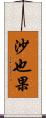 沙也果 Scroll