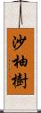 沙柚樹 Scroll