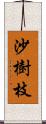 沙樹枝 Scroll