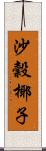 沙穀椰子 Scroll