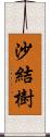 沙結樹 Scroll