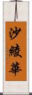 沙綾華 Scroll