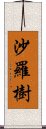 沙羅樹 Scroll