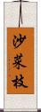 沙菜枝 Scroll