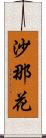 沙那花 Scroll