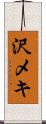 沢メキ Scroll