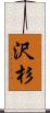 沢杉 Scroll