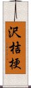 沢桔梗 Scroll