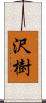 沢樹 Scroll