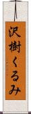 沢樹くるみ Scroll