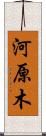 河原木 Scroll
