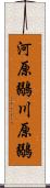 河原鶸 Scroll