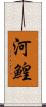 河鰉 Scroll