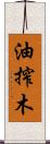 油搾木 Scroll