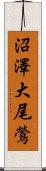 沼澤大尾鶯 Scroll