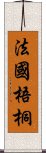 法國梧桐 Scroll