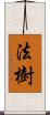 法樹 Scroll