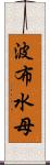 波布水母 Scroll