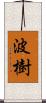 波樹 Scroll