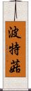波特菇 Scroll