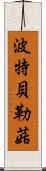 波特貝勒菇 Scroll