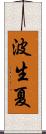 波生夏 Scroll