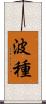 波種 Scroll