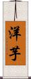 洋芋 Scroll