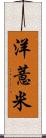 洋薏米 Scroll