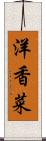 洋香菜 Scroll