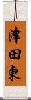 津田東 Scroll