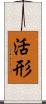 活形 Scroll