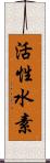 活性水素 Scroll