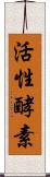 活性酵素 Scroll