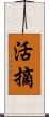 活摘 Scroll