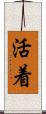 活着 Scroll