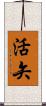 活矢 Scroll