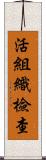 活組織檢查 Scroll