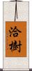 洽樹 Scroll