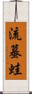流蟇蛙 Scroll