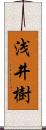 浅井樹 Scroll