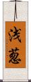 浅葱 Scroll