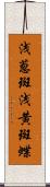 浅葱斑 Scroll