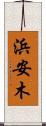 浜安木 Scroll
