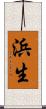 浜生 Scroll
