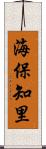 海保知里 Scroll