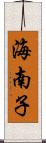 海南子 Scroll
