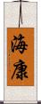海康 Scroll
