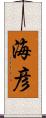 海彦 Scroll